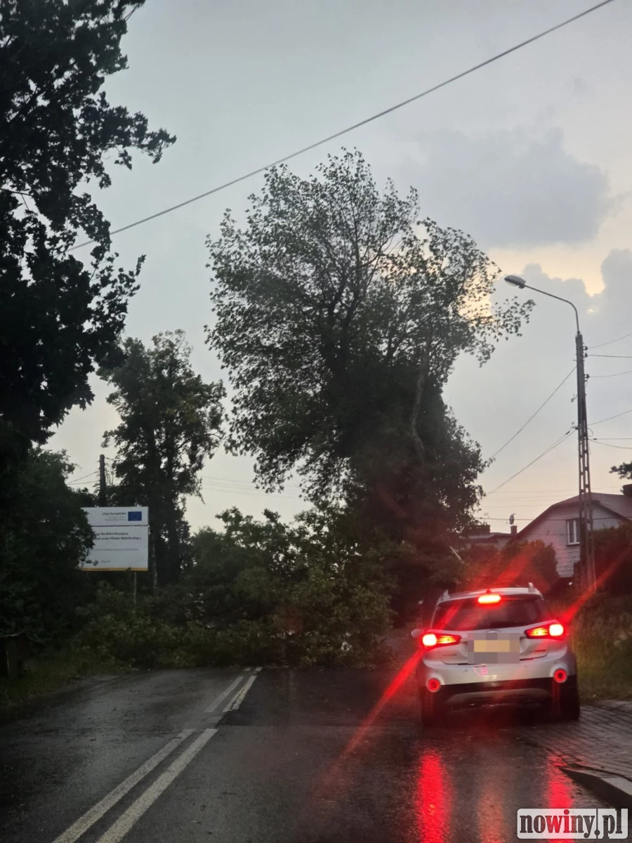 Zerwane linie, uszkodzone drzewa, zalane posesje. Burza i wiatr w regionie [ZDJĘCIA]