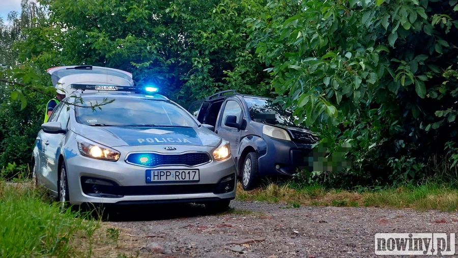 Miał 0,4 promila i wiózł 7-letnią córkę. Jazdę zakończył na drzewie