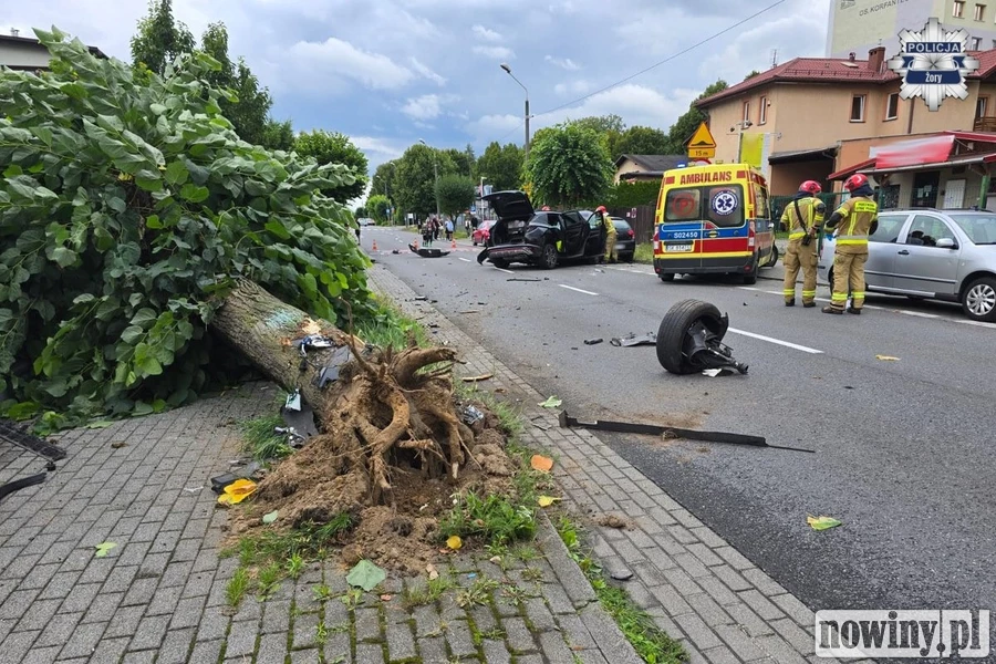 Auto wypadło z drogi i dosłownie wyrwało drzewo [ZDJĘCIA]