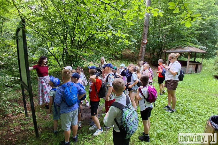 Znikają mokradła, słabną drzewa. W Arboretum Bramy Morawskiej widać skutki zmian klimatycznych