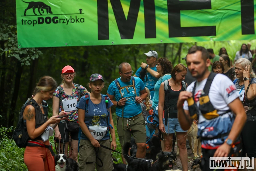 Las, adrenalina i ogony w ruchu. Startuje IX DogTrekking. Zapisy ruszyły