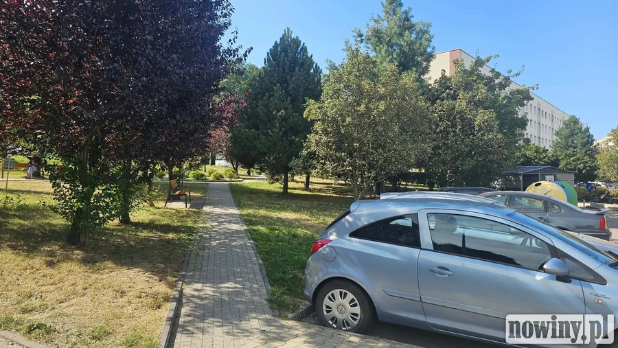 Hałas i alkohol na Małopolskiej. Mundurowi podejmują działania