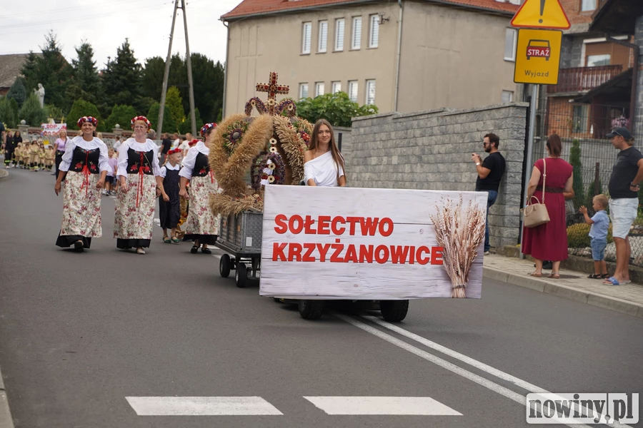 Święto plonów w Krzyżanowicach