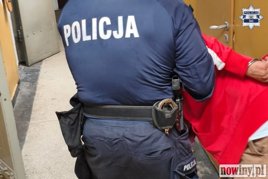 Policjanci z Żor interweniowali w środku nocy. 41-latek został zatrzymany