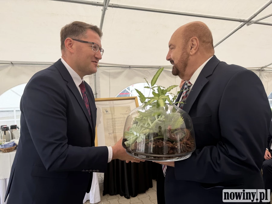 Las dla Lasu. WFOŚ gotów do wsparcia przedsiębiorców, którzy stawiają na OZE