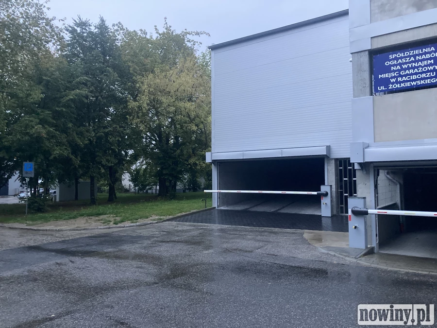 „Nowoczesna” wytnie drzewa pod stację dla elektryków przy garażu piętrowym. Argumentacja spółdzielni przekonała urząd