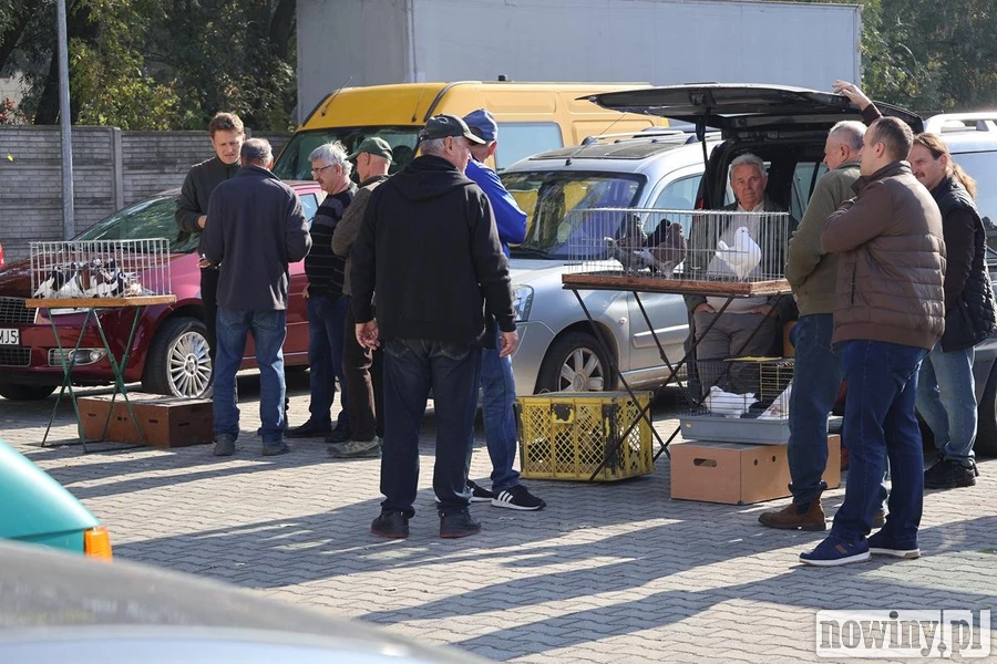 Ponad tysiąc zwierząt i niezwykłe okazy. Co działo się w Pietrowicach Wielkich? [ZDJĘCIA]