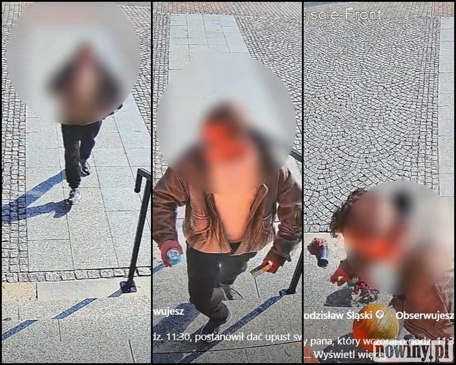 Kopał w drzwi urzędu i zniszczył jesienne dekoracje. Miasto pokazało nagranie