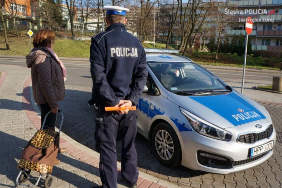 Piesi dostali najwięcej mandatów