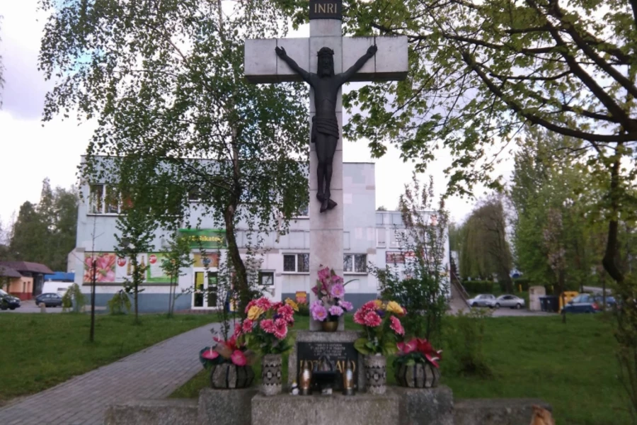 Radna chce wyciąć konary, bo zasłaniają krzyż
