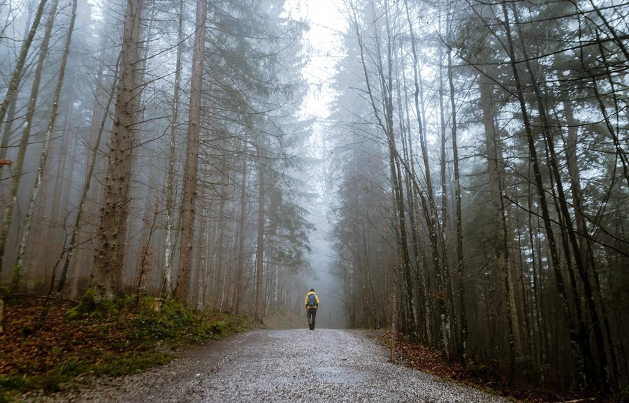 Rewizja obszarów Natura 2000. Wniosek KRIR