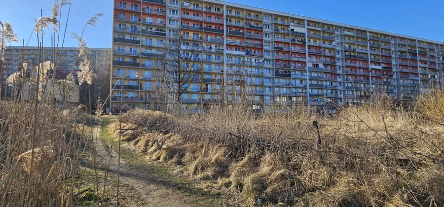 Za balkonami dzikie chaszcze i szczury